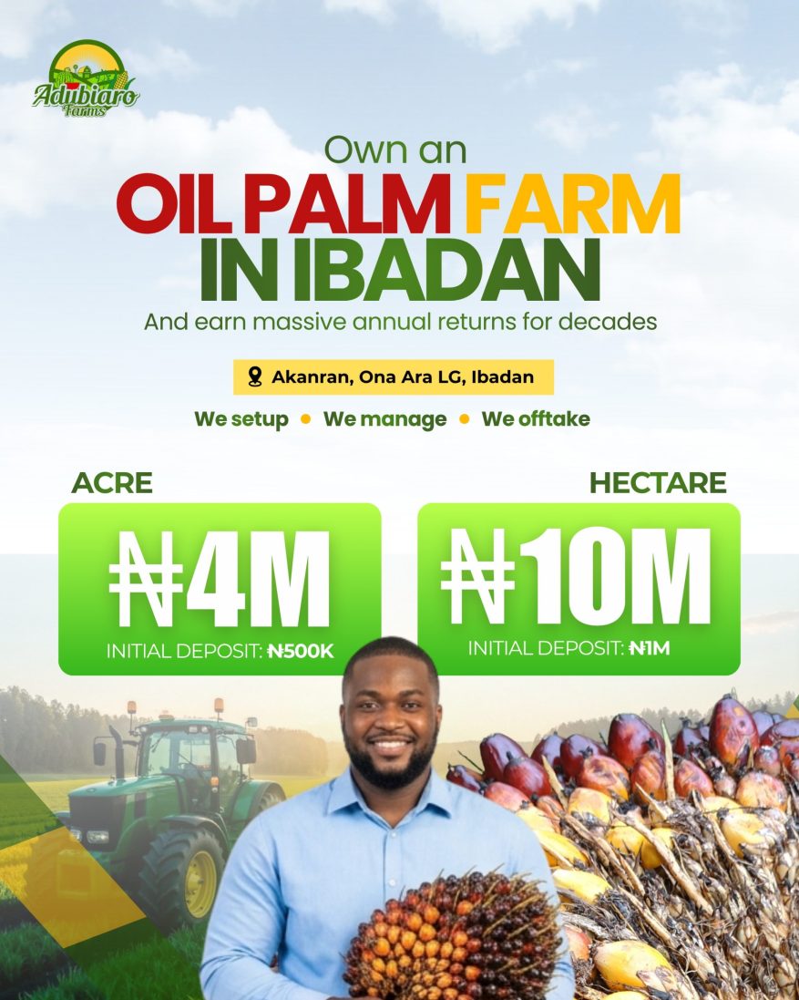 Oil Palm Farm Ibadan - NEW